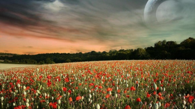 求推荐程序开发笔记本！?